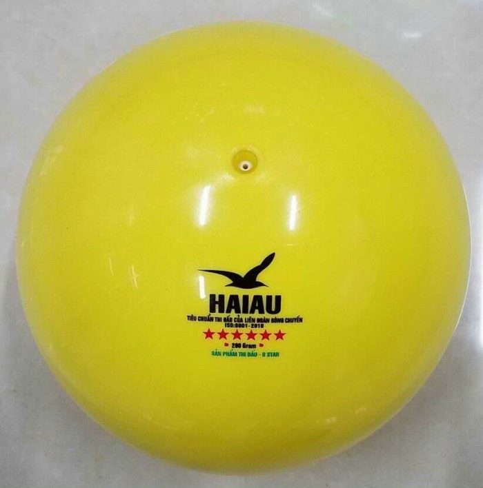 quả bóng chuyền hơi hải âu vàng 1